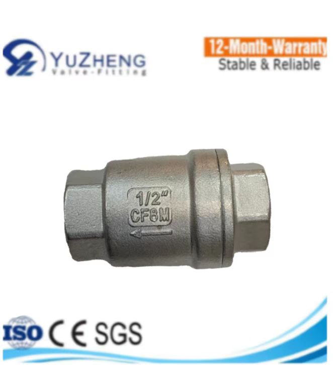 H12W Stainless Steel Vertical Lift Check Valves