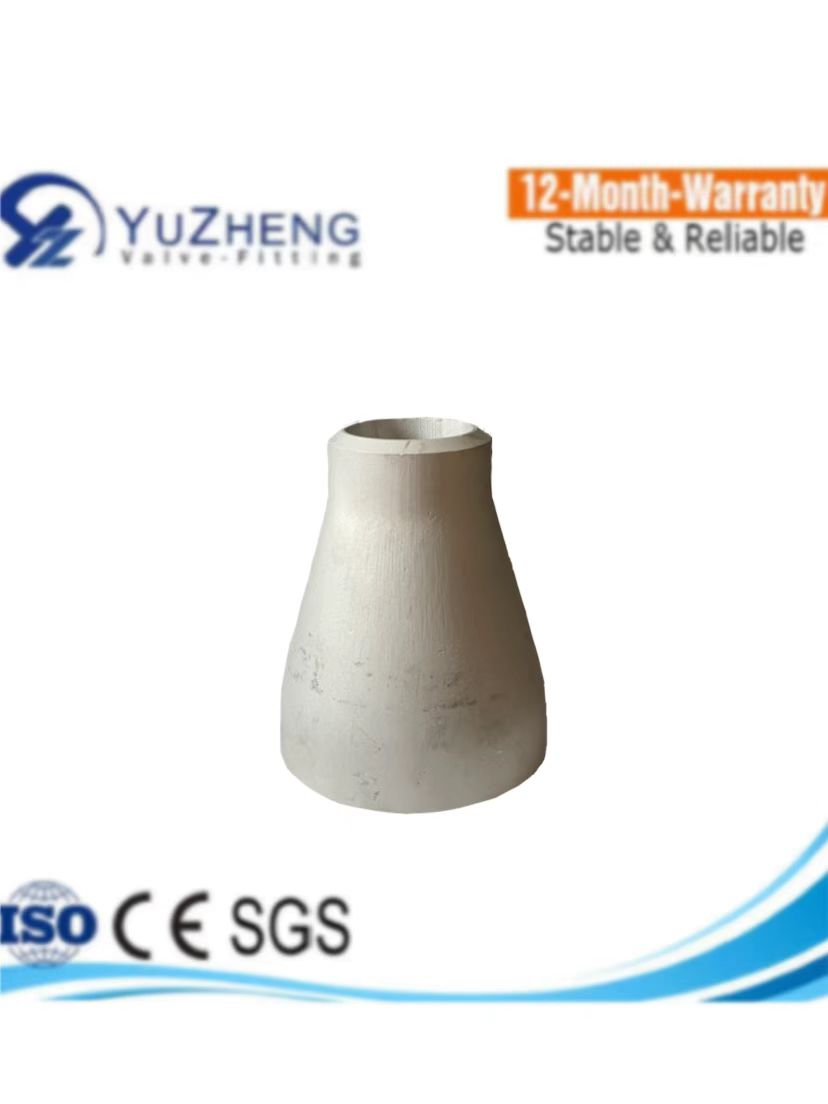Stainless Steel Both Reducing End Pipe Fittings