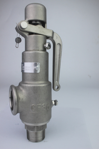 Stainless Steel Safety Valve