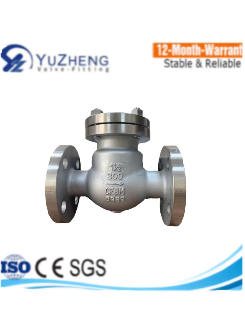 Stainless Steel Flanged H44W Swing Check Valve