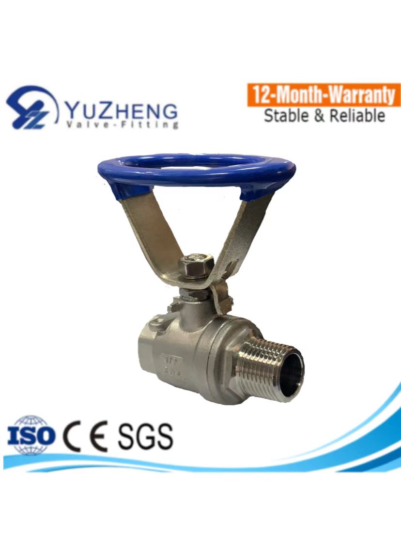M/F Thread 2PC Ball Valve with Oval Handle
