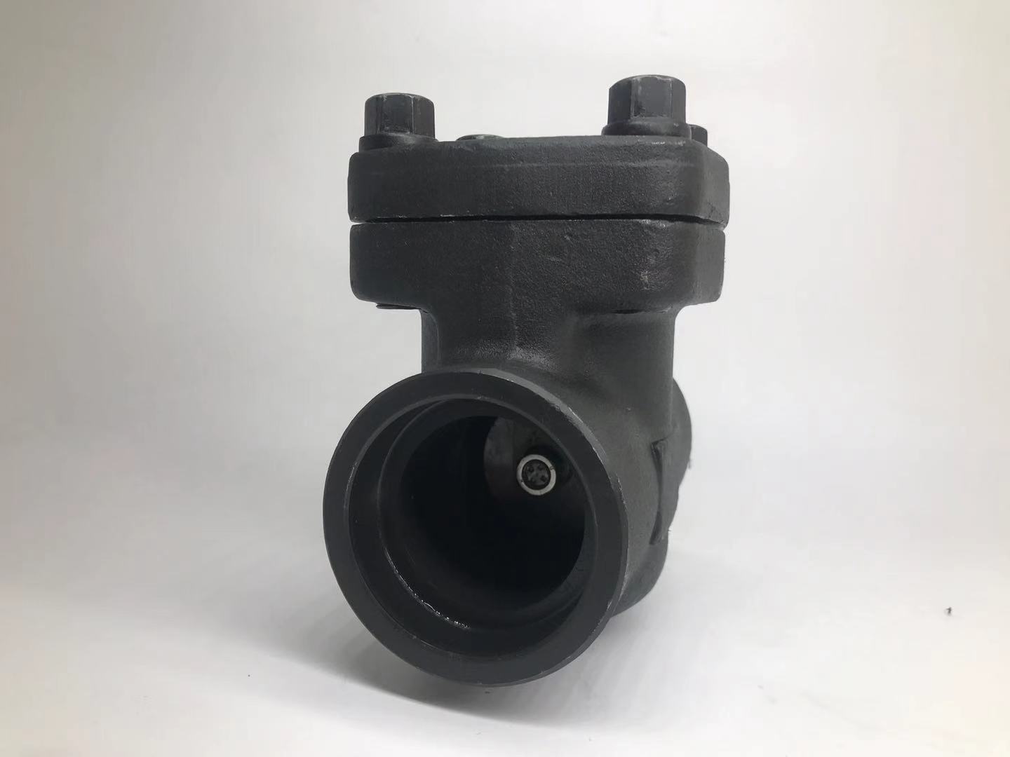 800# A105 Swing Check Valves Socket Weld End
