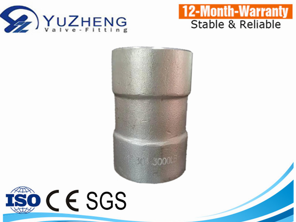 2000-3000LB High Pressure 304/316 L Stainless Steel Thread Socket Banded