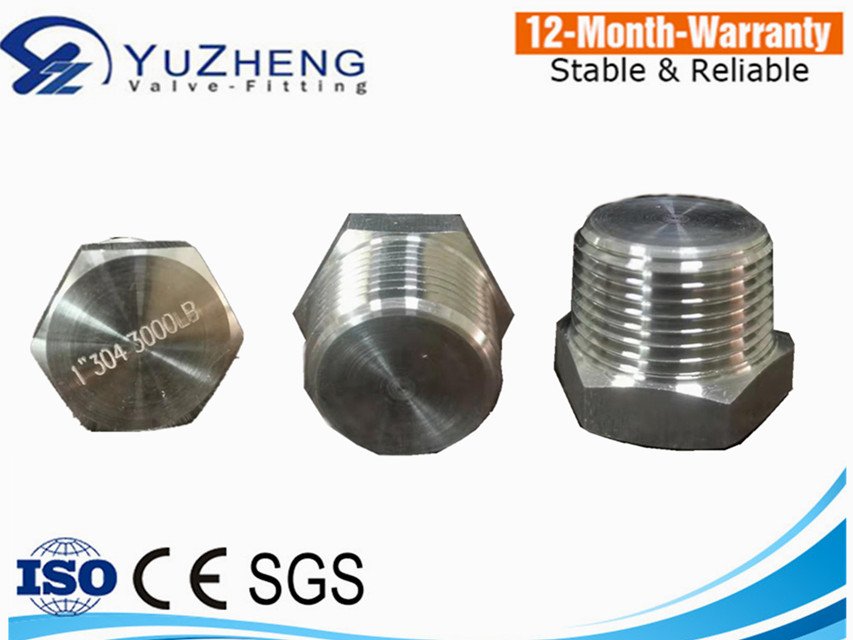 Casting Stainless Steel 3000LB High Pressure Thread Hexagon Plug - Buy ...